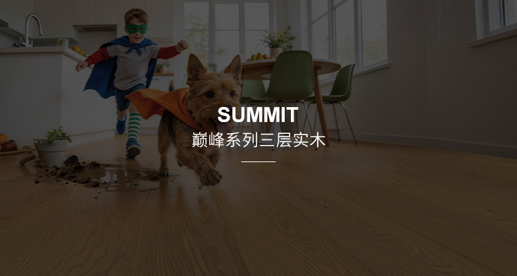 新品预览